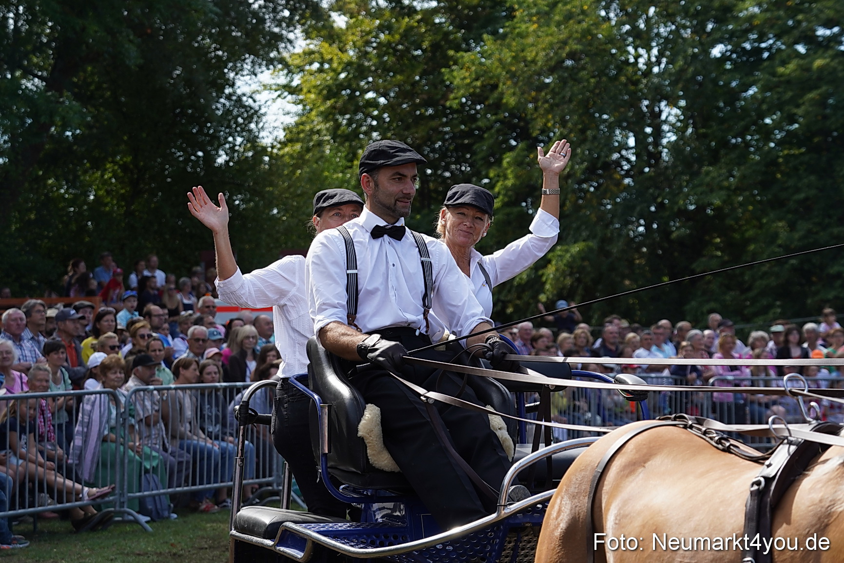 Pferde und Fohlenschau 2022 0246 